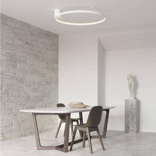 Flush Light Led Rio (50W) II