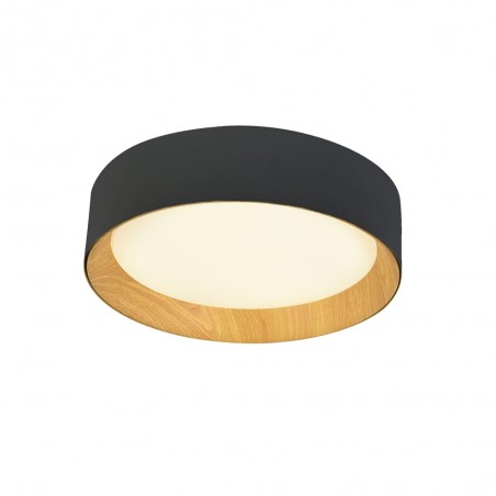 LED Ceiling Flush Light Lea (60W)