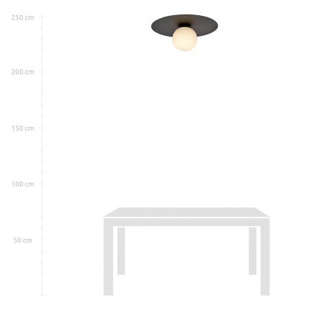 Ceiling Flush Lamp Ícaro Opal (1 light)