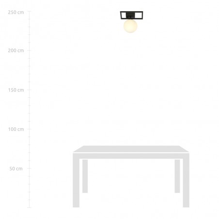 Ceiling Flush Light Merli V