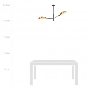 Ceiling Lamp Cano Rattan (2 lights)
