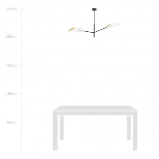 Ceiling Lamp Cano White (2 lights)