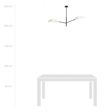 Ceiling Lamp Cano White (2 lights)
