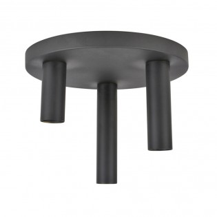 Ceiling Flush Light Twin (3 lights)