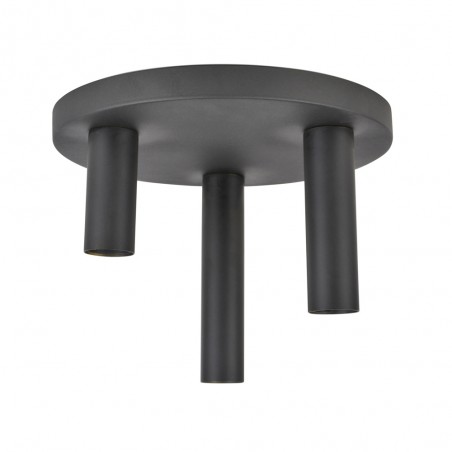 Ceiling Flush Light Twin (3 lights)