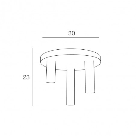 Ceiling Flush Light Twin (3 lights)