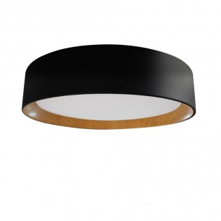 LED Ceiling Flush Light Lea (60W)