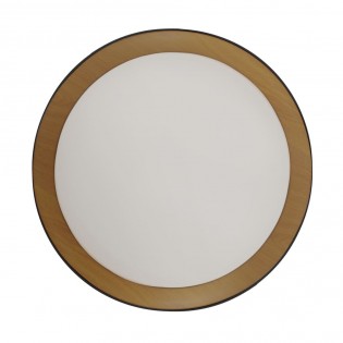 LED Ceiling Flush Light Lea (60W)