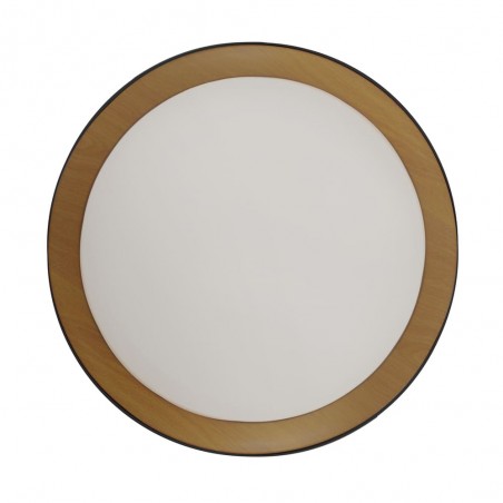 LED Ceiling Flush Light Lea (60W)