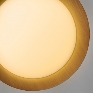 LED Ceiling Flush Light Lili (60W)