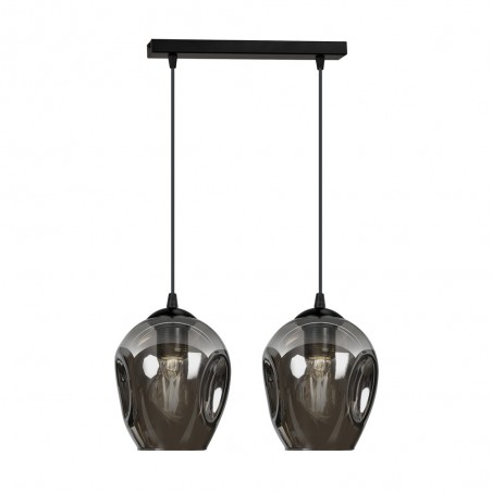 Pendant Track Lamp Domos Graphite (2 lights)