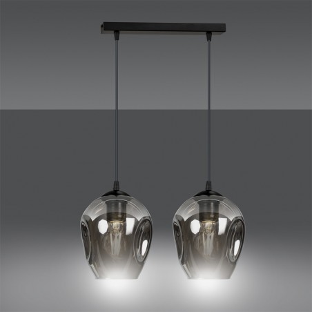 Pendant Track Lamp Domos Graphite (2 lights)