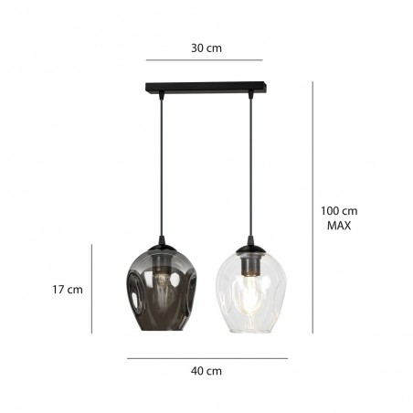 Pendant Track Lamp Domos Graphite (2 lights)