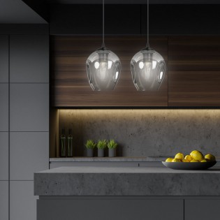 Pendant Track Lamp Domos Graphite (2 lights)
