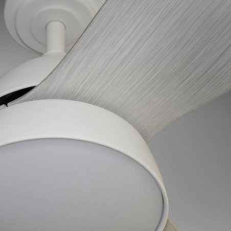 LED ceiling fan with speaker Tijo CCT (20W)