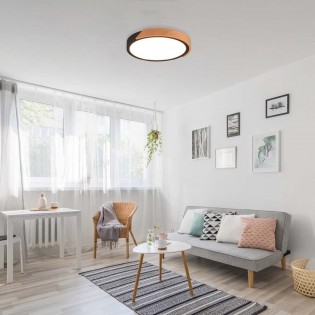 Led Deckenleuchte Jano (20W)