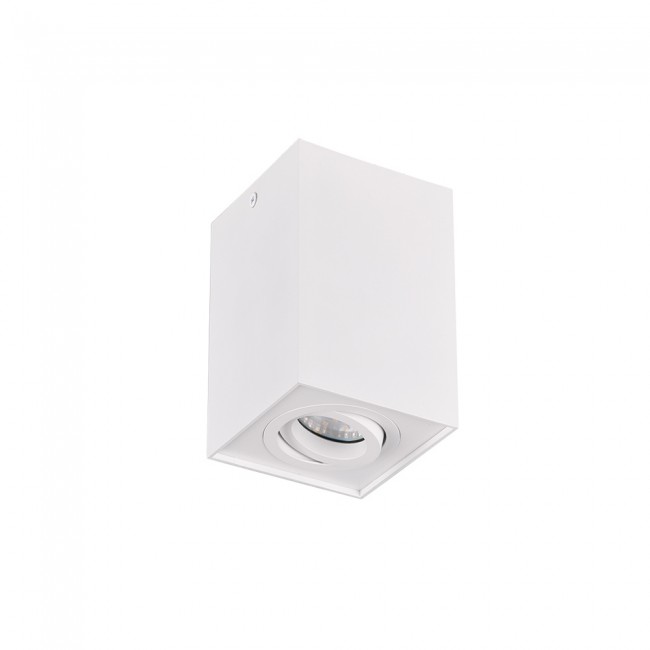 Flush Light Biscuit