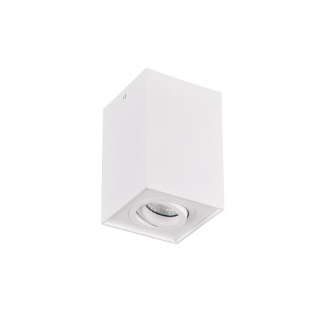 Flush Light Biscuit
