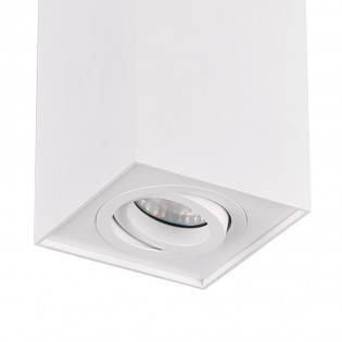 Flush Light Biscuit