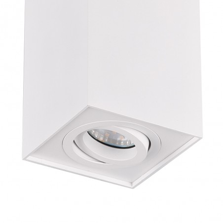 Flush Light Biscuit
