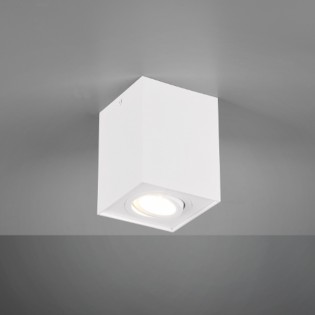 Flush Light Biscuit