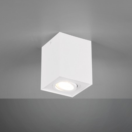 Flush Light Biscuit