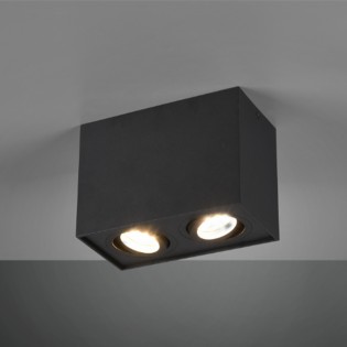 Flush Light Biscuit II