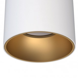 Ceiling Spotlight Iris II