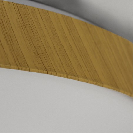LED Ceiling Flush Light Cres CCT (50W)