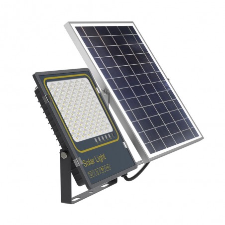 Solar LED outdoor floodlight Bee (100W)