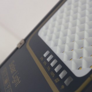 Bee solar LED-Außenstrahler (100W)