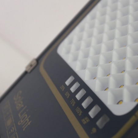 Solar LED outdoor floodlight Bee (300W)