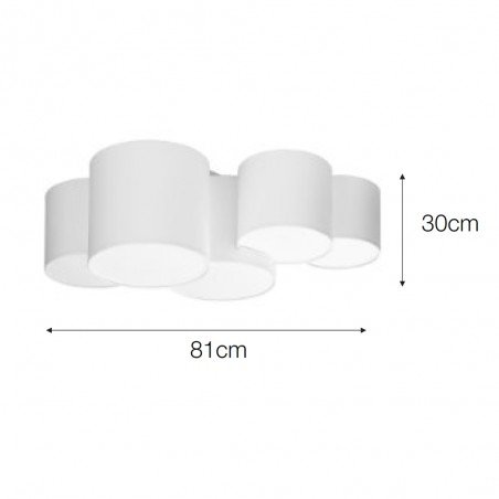 Ceiling Flush Light Pastis (5 lights)