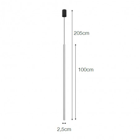 Ceiling Lamp Ray 100