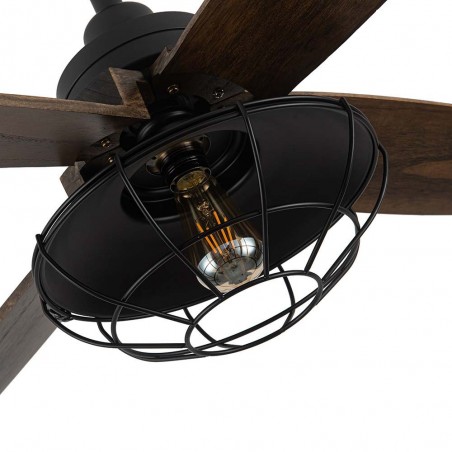Ceiling Fan Aquilo