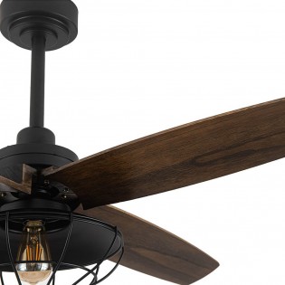 Ceiling Fan Aquilo