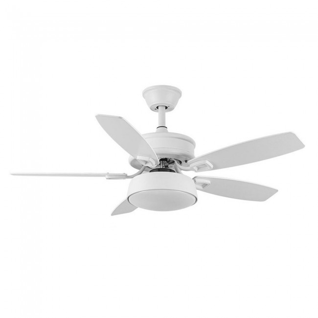 Ceiling fan Led Braw CCT (30W)