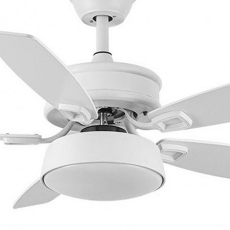 Ceiling fan Led Braw CCT (30W)