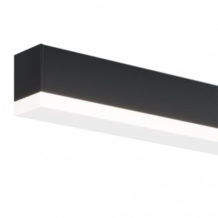 LED Wall Lamp Fichte (14W)