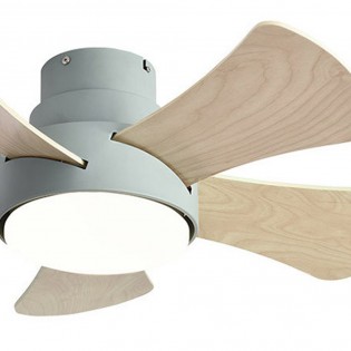 Ceiling fan Led Gregario (25W)