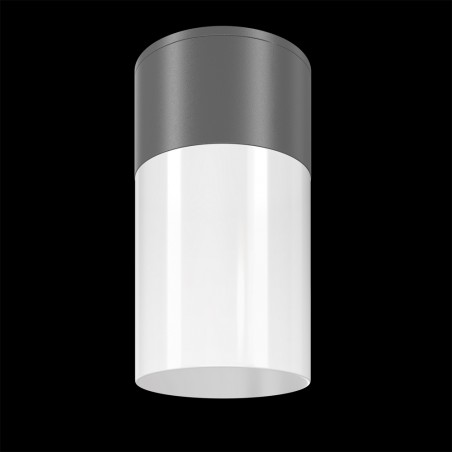 Outdoor Flush Light Willis