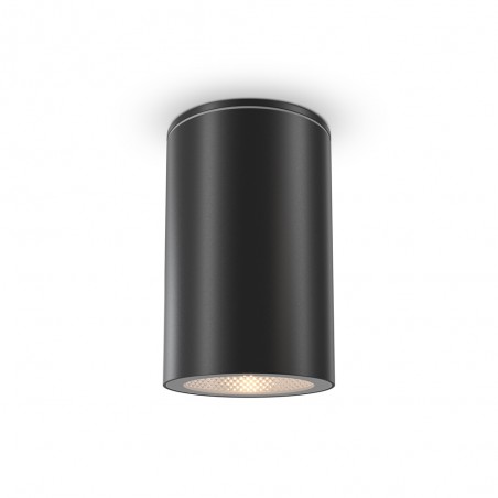 Outdoor Ceiling Flush Light Roll