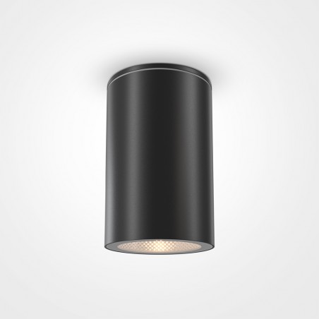 Outdoor Ceiling Flush Light Roll