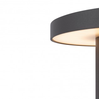 Wald LED-Außenleuchte hoch (12W)