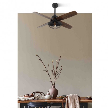 Ceiling Fan Aquilo