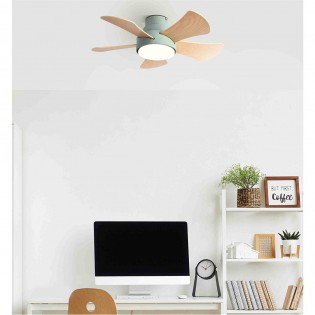 Ceiling fan Led Gregario (25W)