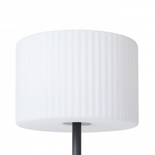 Outdoor floor lamp Bosanna