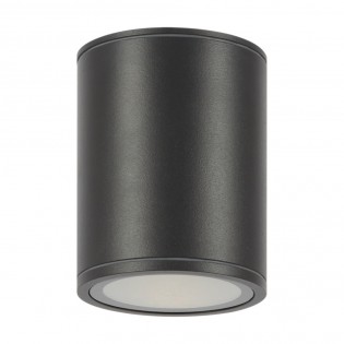 Outdoor LED Ceiling Flush Light Bar (12W)