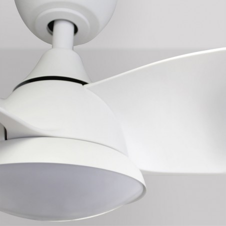 LED Ceiling Fan Fante CCT (24W)