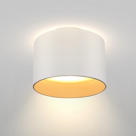 LED Flush Light Planet 3000ºK (16W)